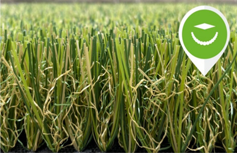 China Monofilament Curly Yarn Outdoor Artificial Grass Healthy Landscaping False Turf supplier